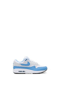 Nike Air Max 1 suede